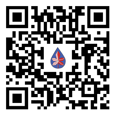 1779692964966014305.png